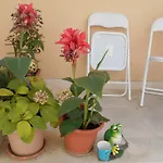 Ante Spalato
