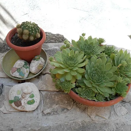 Apartment Ante * Split