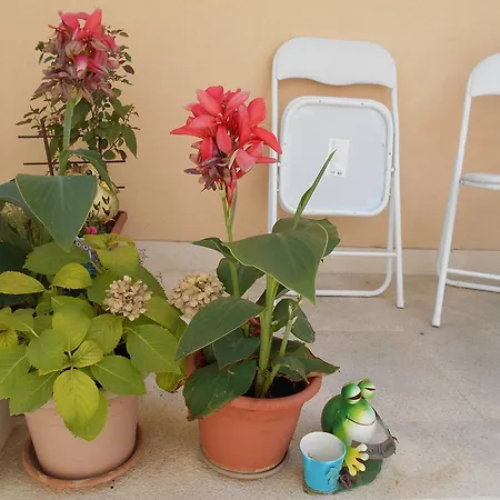 Apartment Ante Split