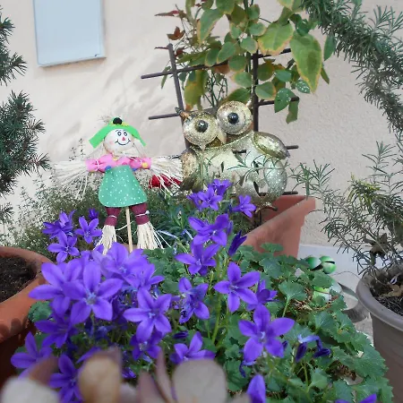 Ante Διαμέρισμα Σπλιτ