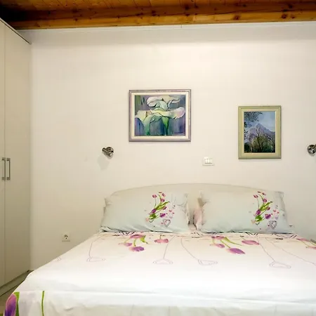 Apartment Ante Apartment *